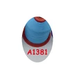 A1381