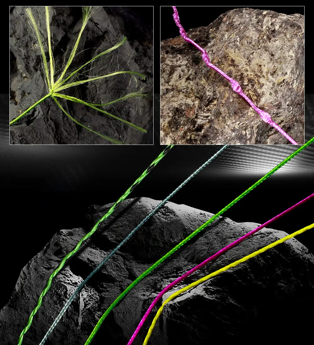 Explore la intrincada belleza del diseño de la naturaleza con estas vibrantes representaciones realistas