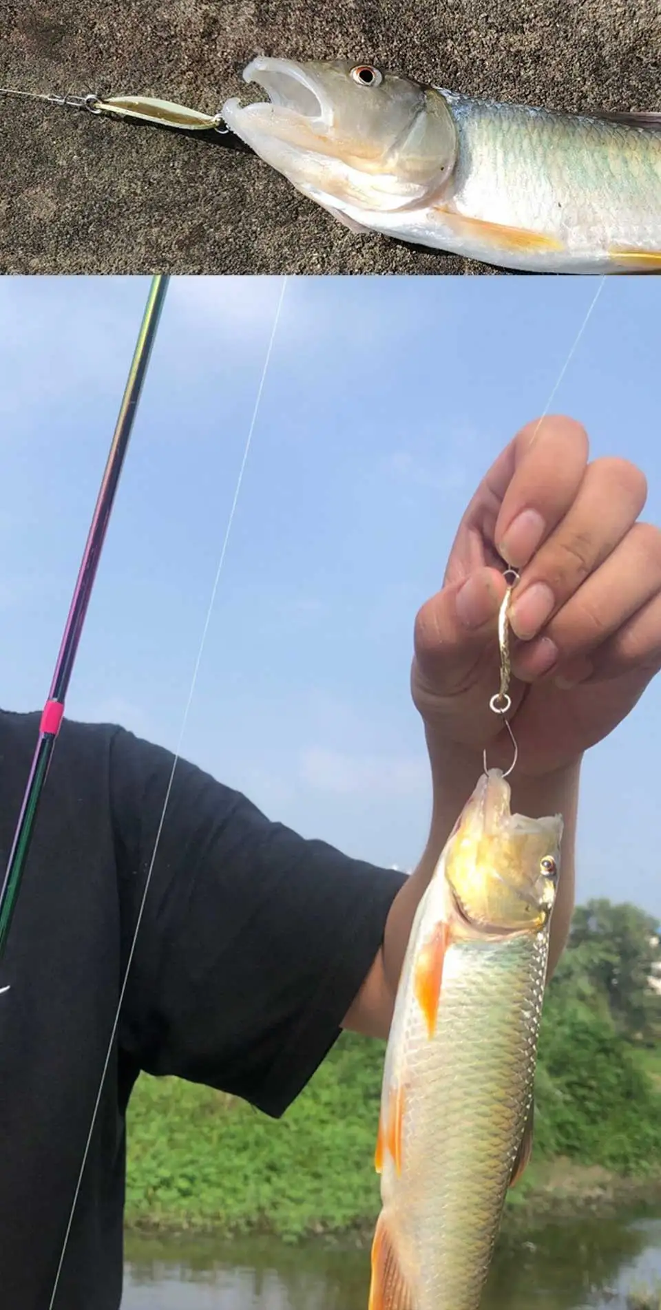 OBSESSION-Set de 4 unidades de señuelos giratorios, conjunto de lentejuelas con recubrimiento UV, purpurina Artificial, cuchara de Metal duro, percha para trucha, Chub, salmón con un solo gancho - imagen 4