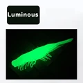 Luminous