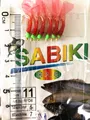 Hook Size 11