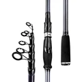 Spinning Rod