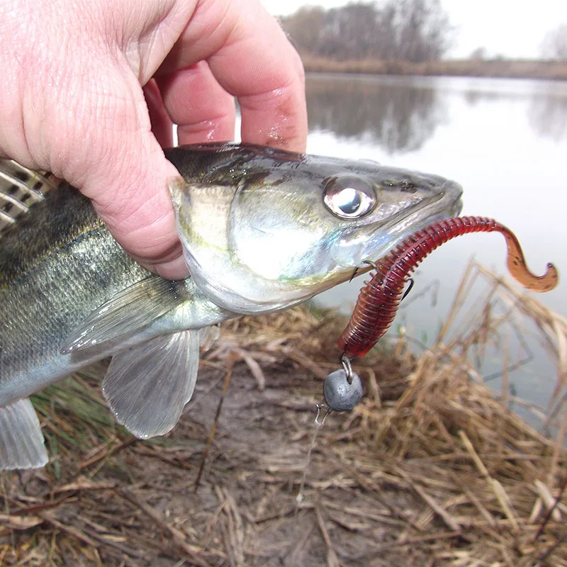 ALLBLUE DOMI-Cebo blando de una sola cola, 2g/80mm, 8 unids/lote, señuelo de pesca de silicona, isca, aparejos de lubina artificial - imagen 4