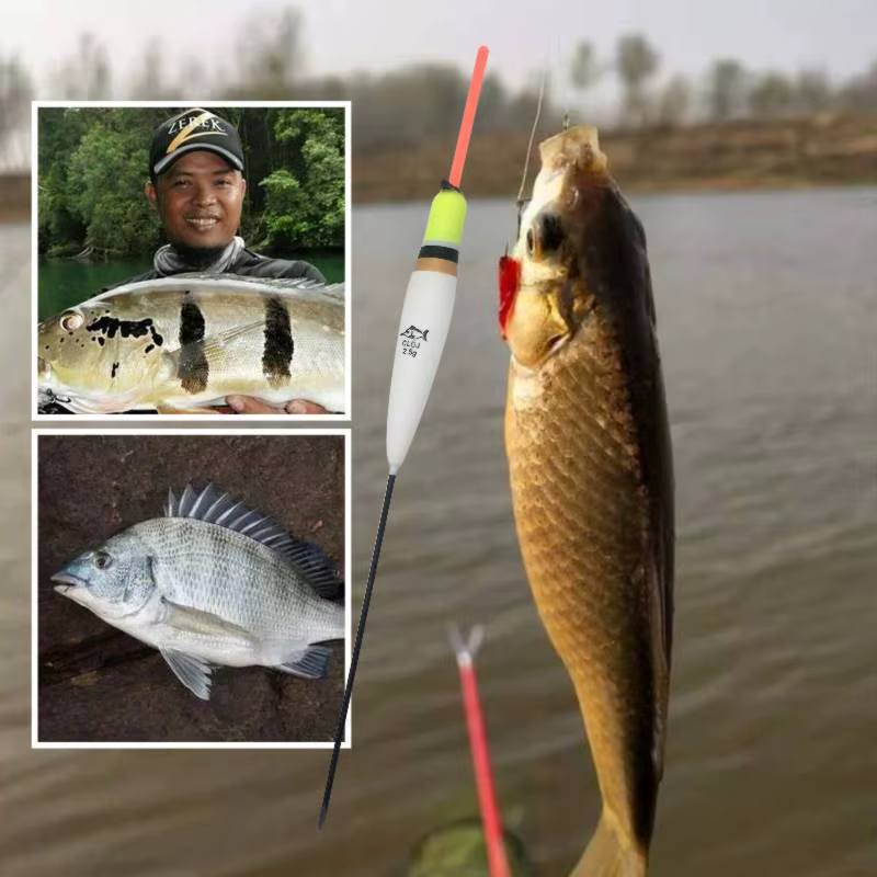 Boya LED Balsa 5g – Flotador luminoso para carpa - imagen 5