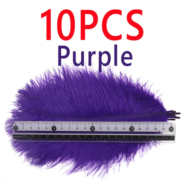 Purple 10PCS