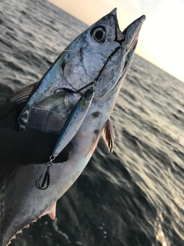 ¡Experimenta la emoción de la pesca con esta impresionante captura!