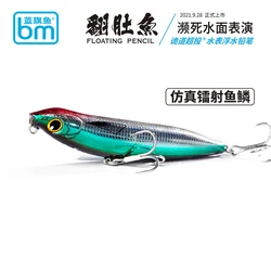 Fanduyu-señuelo de pesca de lápiz flotante 100F, Wobbler Artificial de 100mm/15g, capa de natación completa, escamas de pescado simuladas, cebo falso, nuevo