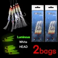 2bags luminous head