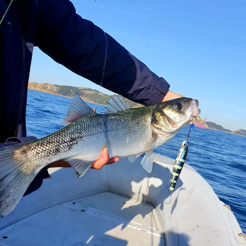 Señuelo de Pesca de Metal en forma de S, anzuelo de cuchara fundido a tierra, hundimiento, duro, Jigging, 60g, 100g, 150g, 180g, 220g