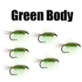 6PCS Green Body