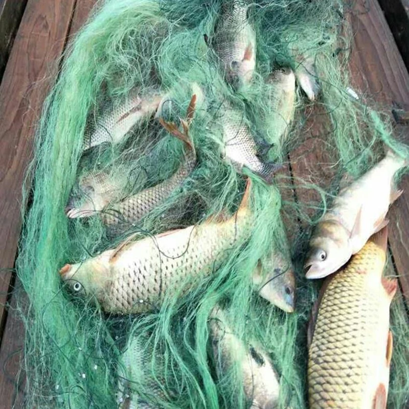 Red de pesca de tres capas con trampa flotante para peces de río, Red de nailon gruesa de alta calidad, longitud de 100 metros de alto, dos metros - imagen 3