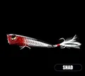 shad