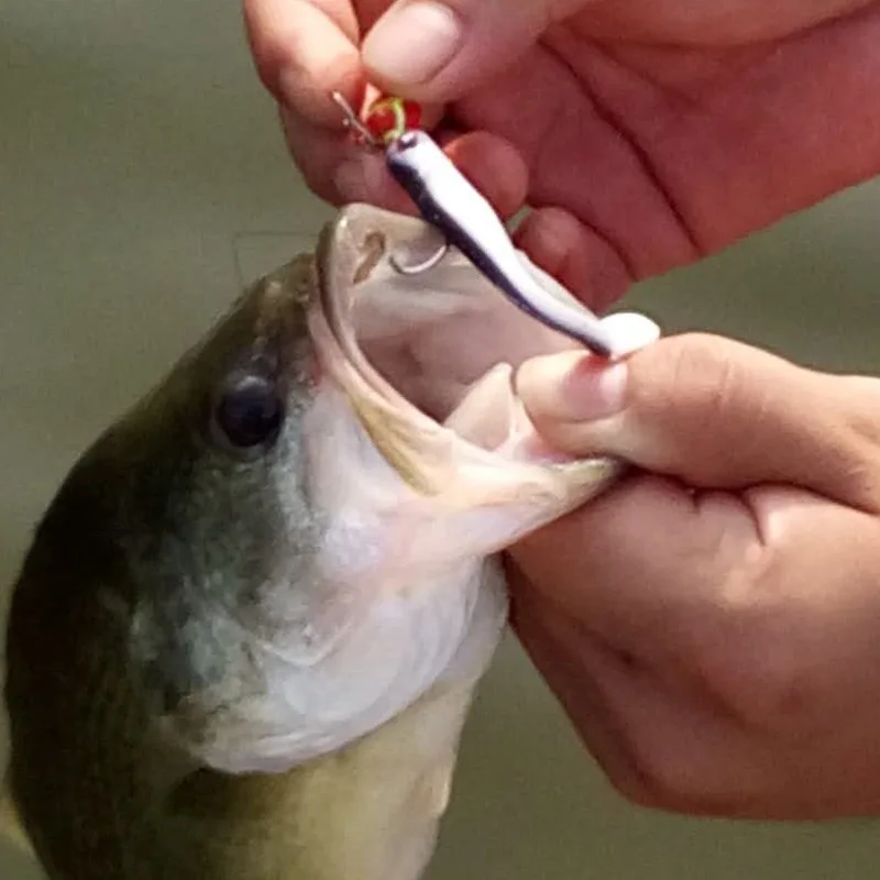 Señuelo de pesca suave, cebo en T Tails, Jighead, Texas cracky Rig, atracción de gusano, 6,3 cm, 7,5 cm, lote de 6 piezas, venta - imagen 5