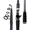 Casting Rod
