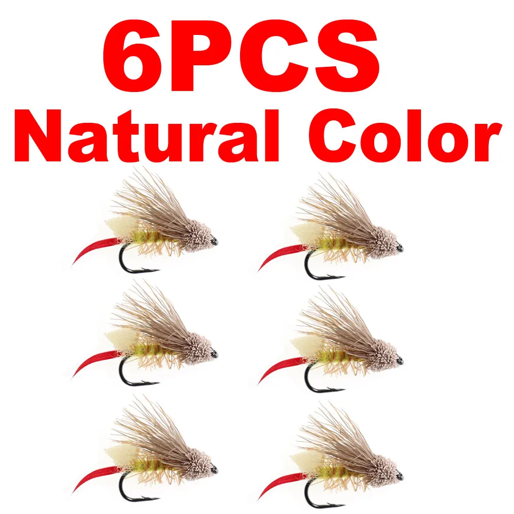 6pcs Natural