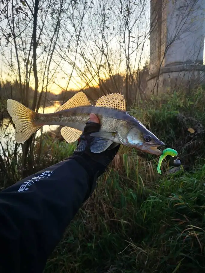 Señuelos de pesca supercontinent, 5cm, 8cm, 9,5 cm, 11cm, cebos artificiales, Wobblers, señuelos blandos, sábalo, carpa, cebos de pesca de silicona - imagen 2