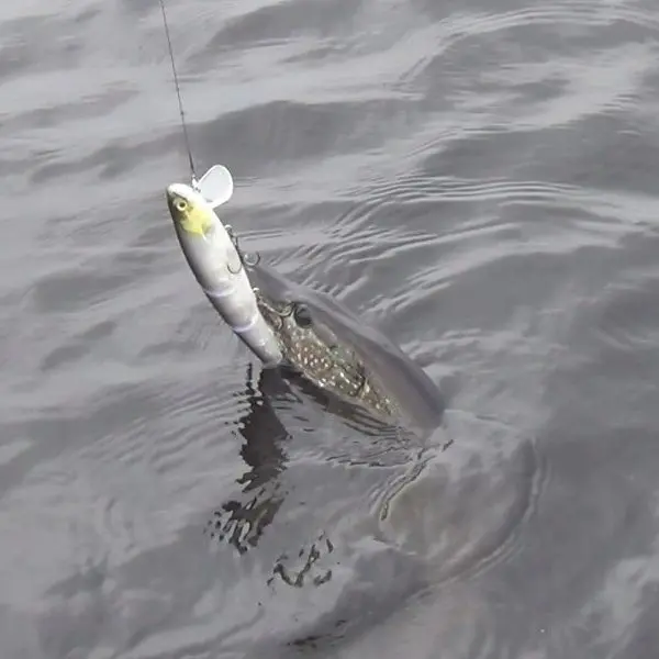 Hunthouse-señuelo de pesca JR, cebo articulado con gancho japonés - imagen 5