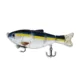 Color 10 swimbait