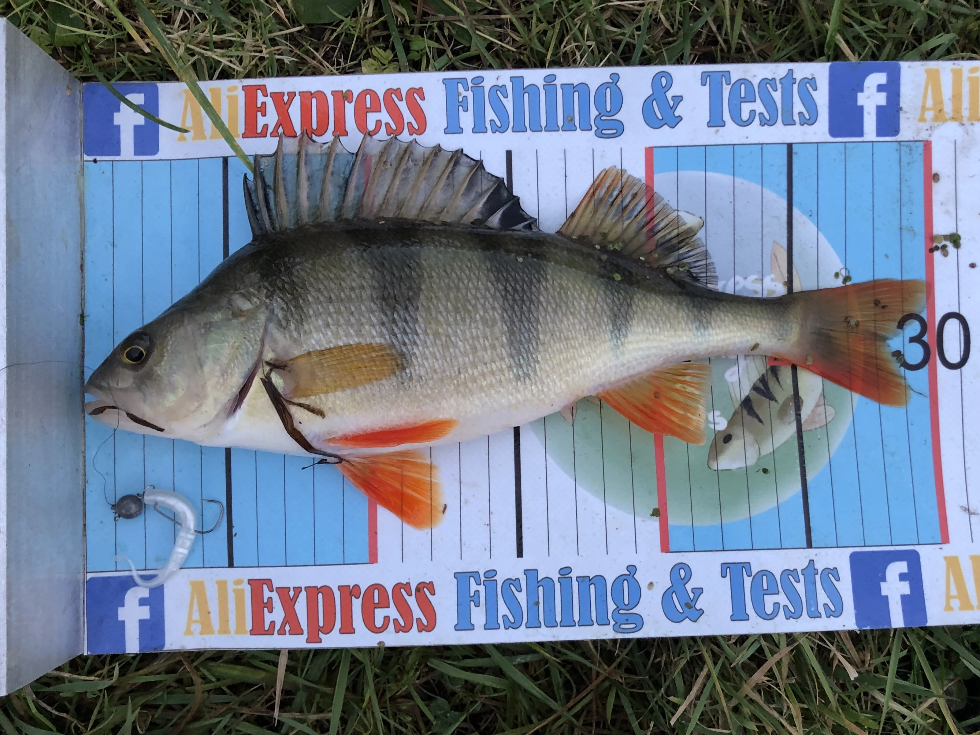 2019 UNAGI SLUG 64mm 88mm Señuelos de Pesca cebo Artificial suave predador aparejos Polaris hundimiento señuelo Pesca aparejos de Pesca baratos