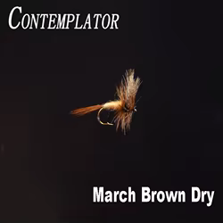 CONTEMPLADOR 5 piezas 12 #   Moscas secas Marrón de marzo que imitan la escotilla de agua de superficie importante de Mayflies Marrón/Tan más grande para pesca con mosca