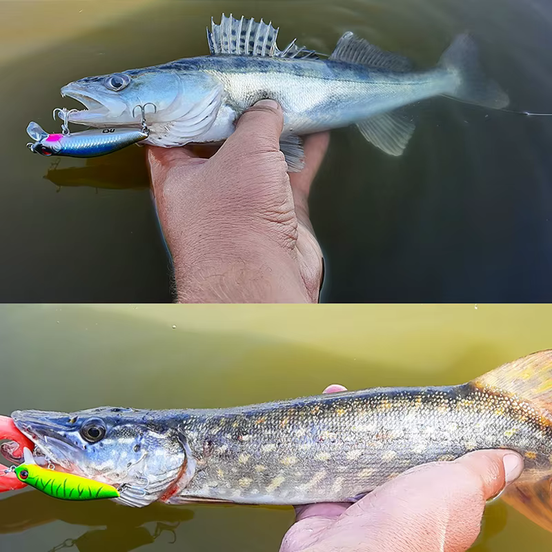 Tsurinoya Minnow 64F Flotante 64mm 6g - Boca plana - imagen 3