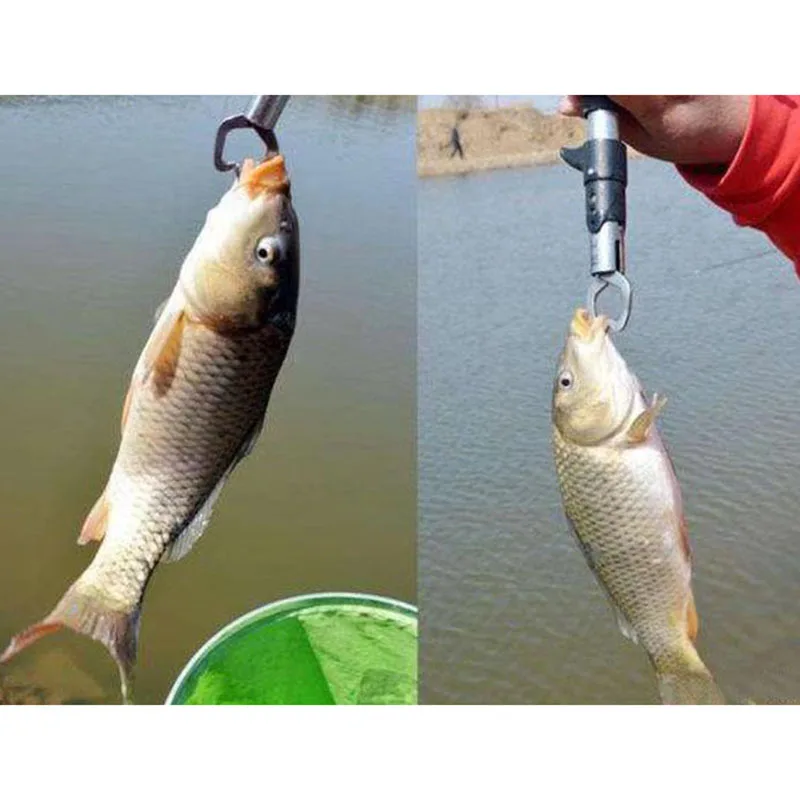 Tijeras de Control de acero inoxidable, aparejos de pesca, juego de agarre de pesca, pinza, accesorio, herramienta, pinza, cortador - imagen 3