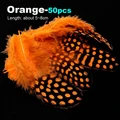 50pcs Orange