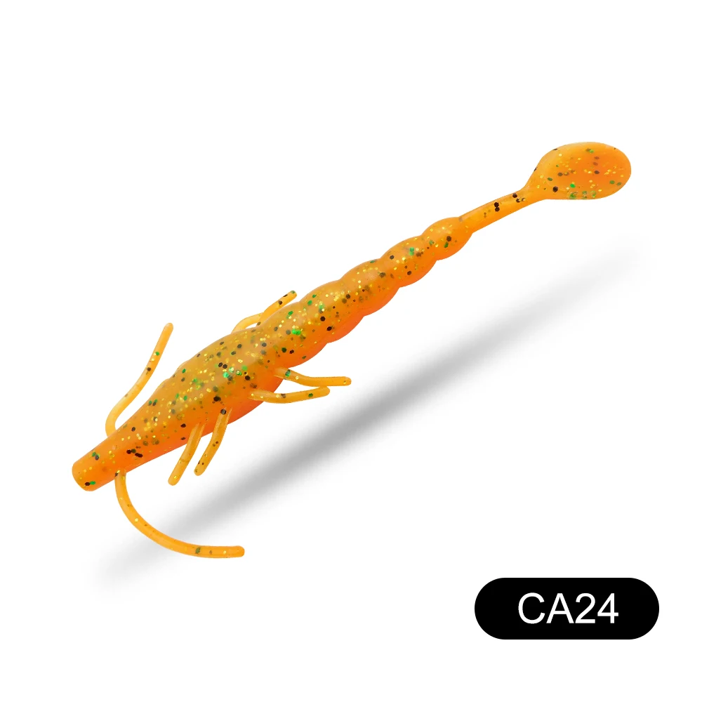 CA24