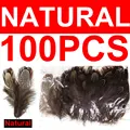 100pcs natural