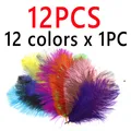 MIX Color 12PCS