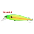 Minnow Lure 2
