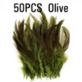 Olive 50PCS