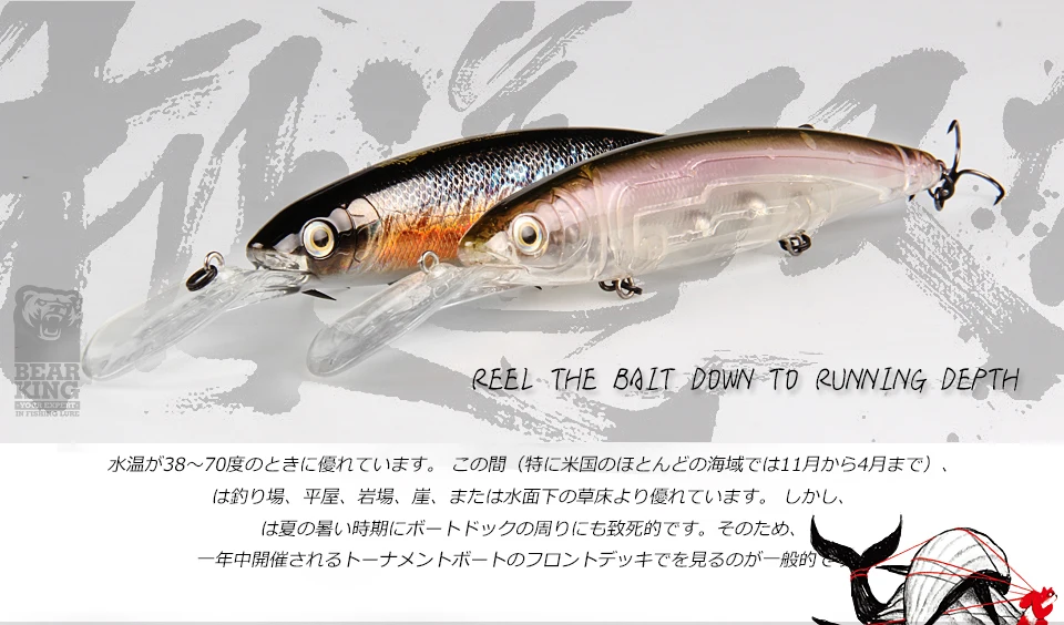Experimente la emoción de la pesca con nuestro innovador diseño de cebo
