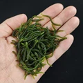 100pcs green3.5cm