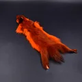 Oranje