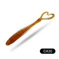 CA30