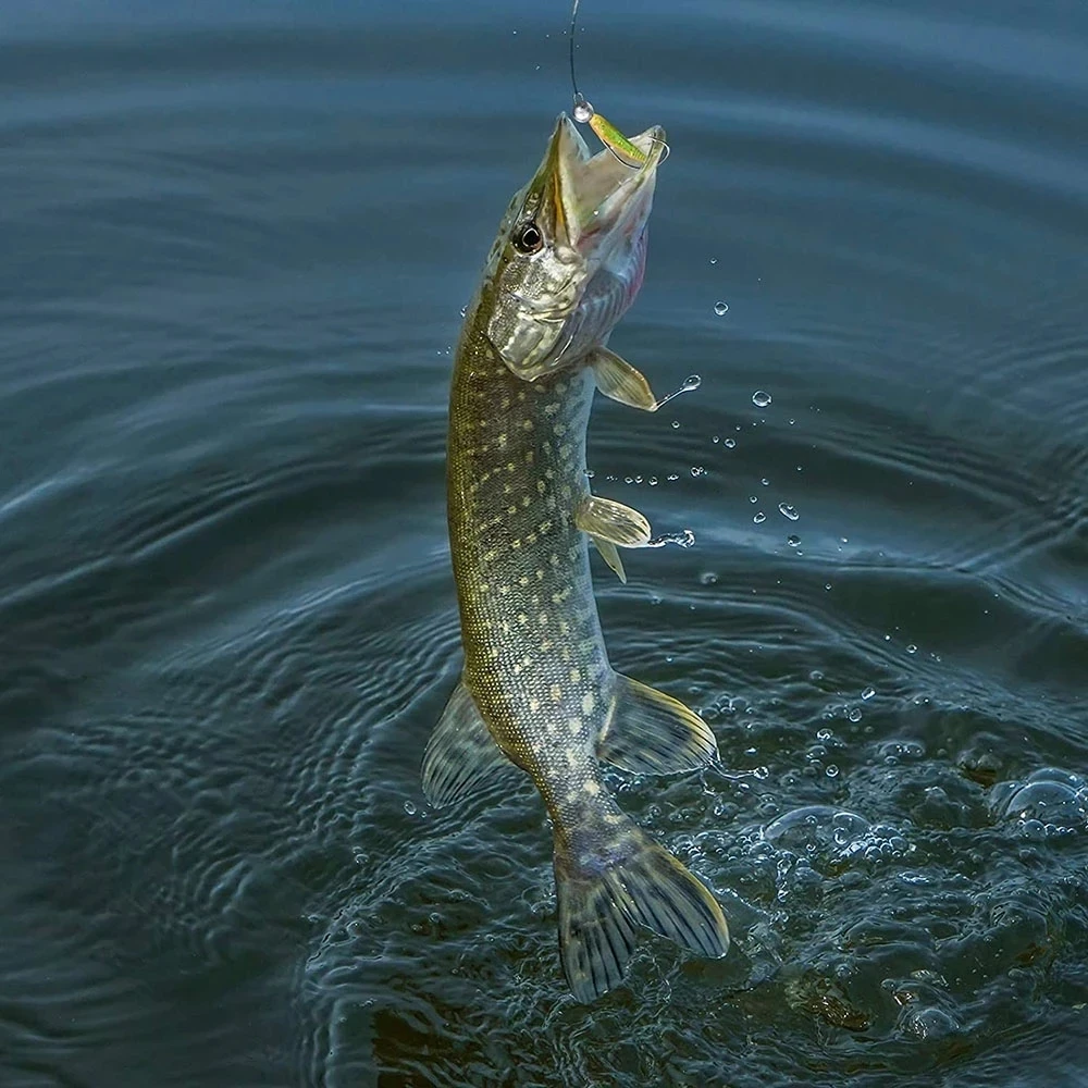 5 unids/lote expuestos manivela cabeza de plomo Jigging gancho plantilla suave gusano anzuelos de pesca señuelo 3,5g 5g 7g 10g 14g pesca accesorios