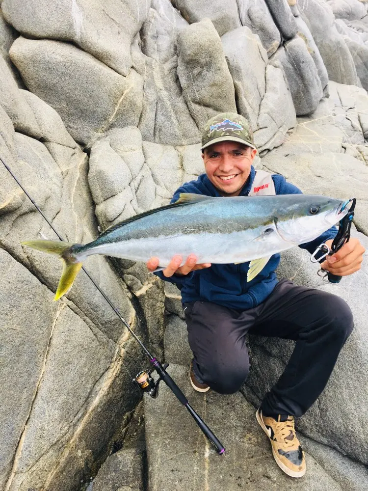 OBSESSION-caña de pescar de carbono ultraligera, aparejos de fundición giratoria, para carpas, baitcasting, 1,98 m, 2,13 m, L, M, ML, MH, 2 secciones - imagen 2