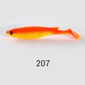 NW207