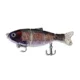 Color 04 swimbait