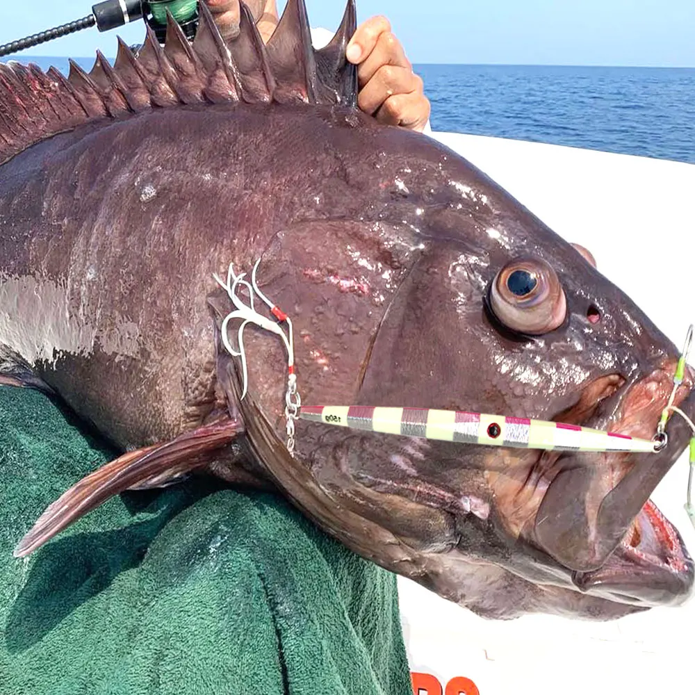 Señuelo de pesca de plantilla de Metal, peso de 200g, 250g, 300g, aparejo duro de pesca de lubina, trucha, Jigging, señuelo de agua salada, 4 unids/lote - imagen 2