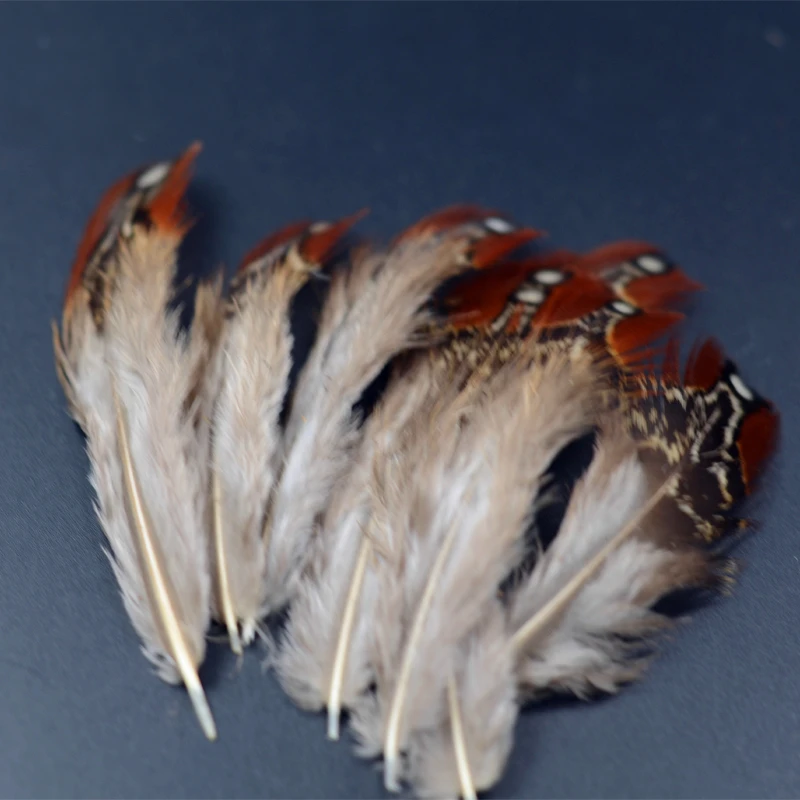 4 estilos opcionales Ringneck pluma de faisán materiales para atar moscas 20 piezas ala de faisán pluma sillín tippet punto blanco pluma del cuerpo - imagen 5
