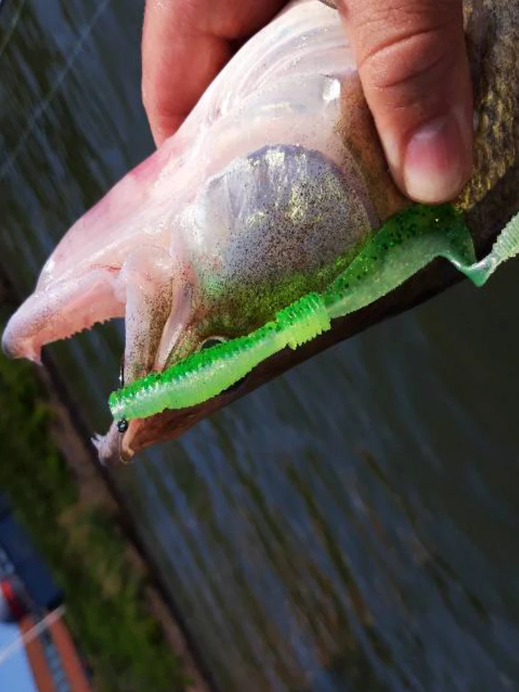 ESFISHING señuelos blandos Counter Grub 5 uds 100mm Sigle Tail Grub cebos Pesca Señuelos de Pesca pesca de carpa - imagen 5