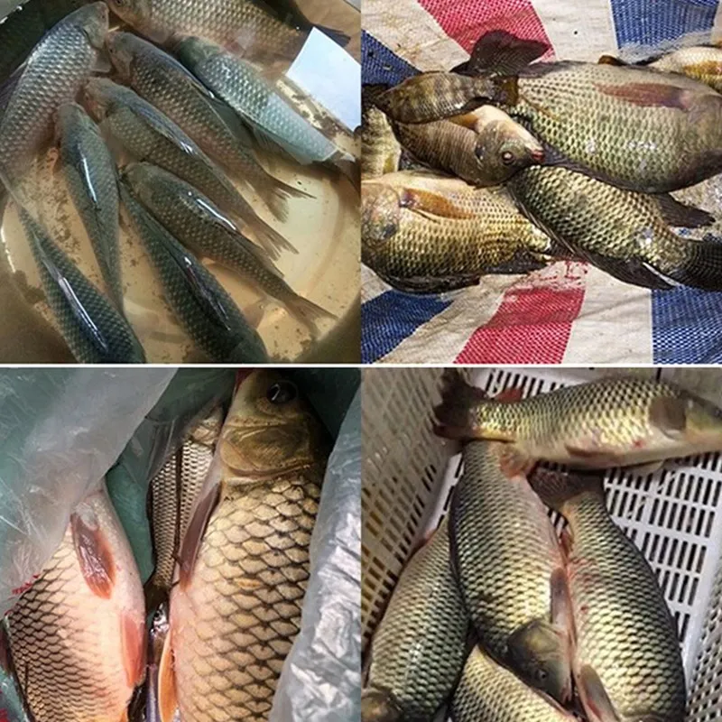 Cañas de pescar telescópicas de fibra de carbono, súper ligeras, duras, de mano, para carpa de agua dulce - imagen 5