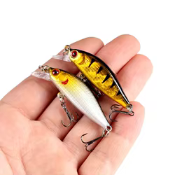 Señuelo Minnow flotante Crankbait duro para lubina y carpa