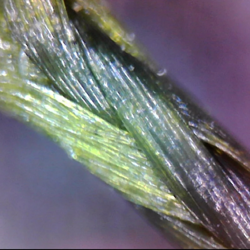 Línea trenzada de 8 hebras, 300M, 30-137BL, multifilamento que no se decolora, aparejos de pesca de carpa, aparejos de agua de mar para aparejos de pesca de mar - imagen 2