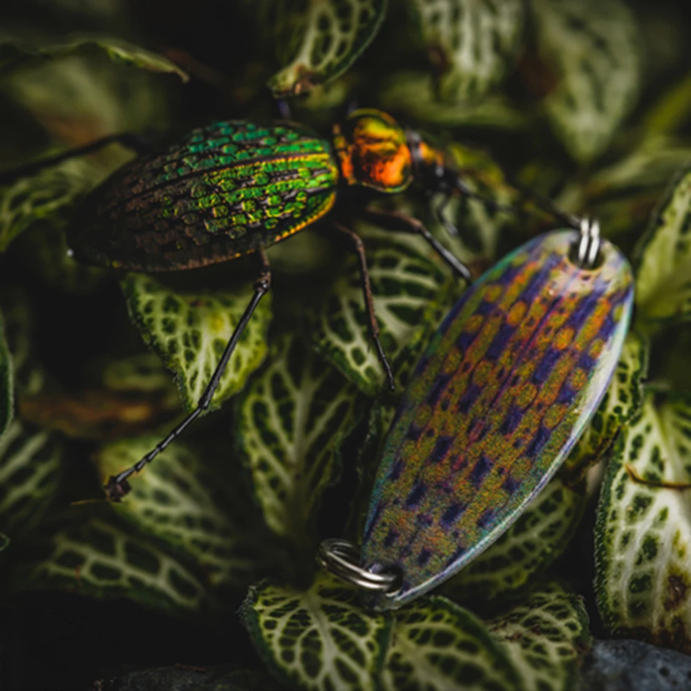 Cuchara de imitación de insectos, cebo metálico de 2,5/3,5g, para Crappie, lubina, Tilapia, BFS, aparejos de Pesca, cucharas de trucha, 5 unids/lote - imagen 5