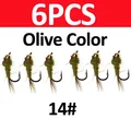 6pcs Olive