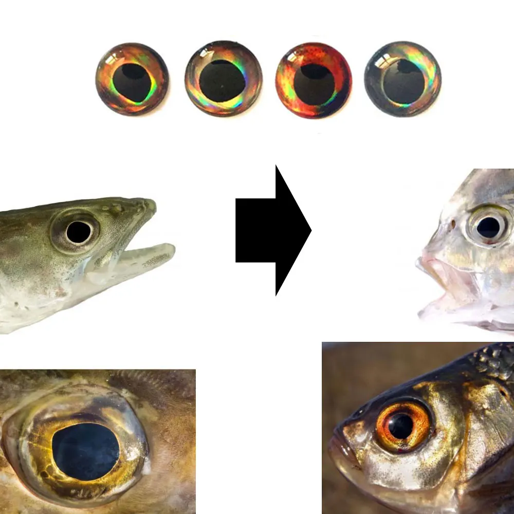 Ojos de Pez holográficos 3D 4D para atado de moscas, serpentinas de Baitfish, señuelo de plástico de madera, Popper, ojos DIY, 3mm-12mm, mezcla de colores, 400 piezas - imagen 4