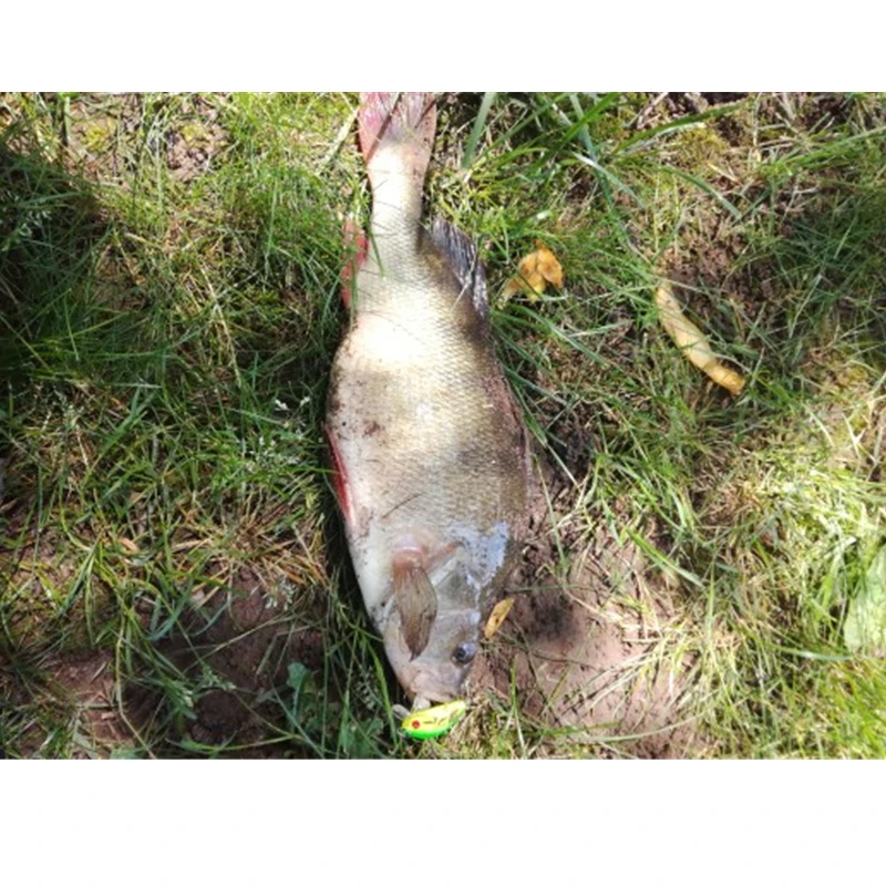 Minnow Wobblers clásicos de pesca, lure50 mm 4g, Mini Iscas artificiales, cebo duro Crankbait, Swimbait para lubina y Lucio, accesorios, 1 unidad - imagen 3